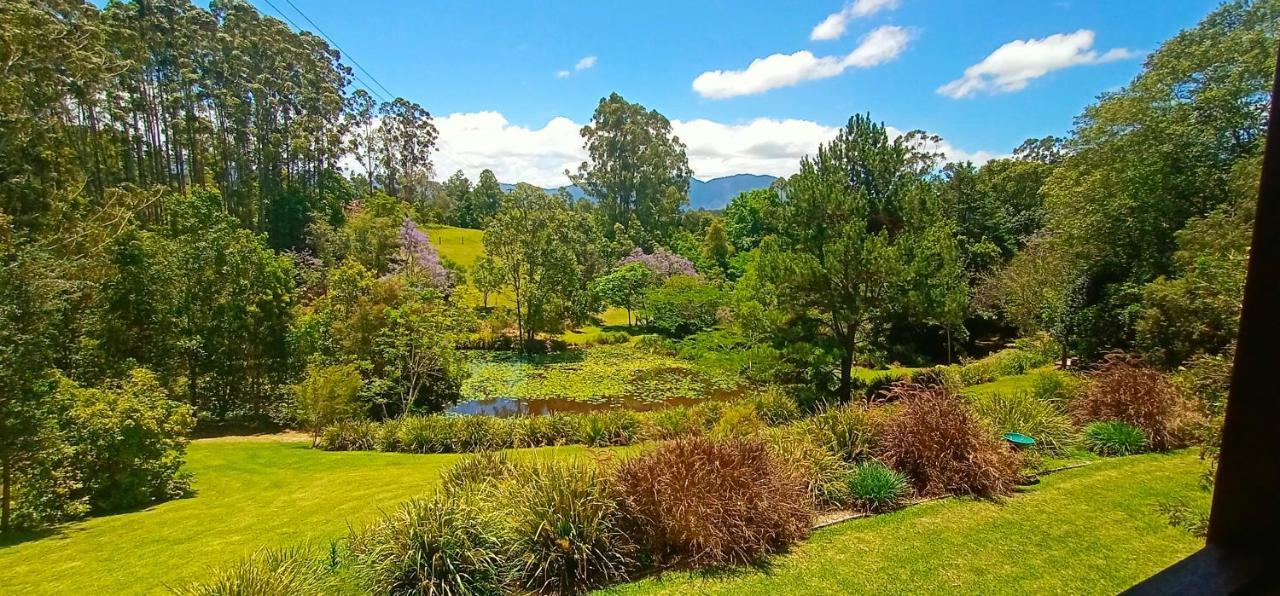 Lilypad Luxury Cabins Bellingen Luaran gambar