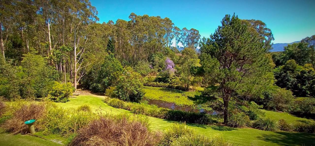 Lilypad Luxury Cabins Bellingen Luaran gambar