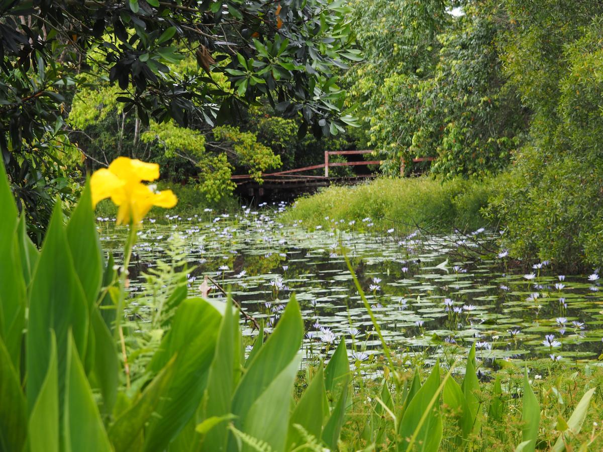 Lilypad Luxury Cabins Bellingen Luaran gambar